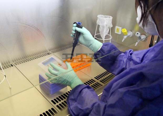 С положителни проби за COVID-19 са двама души от тунджанското село Тенево С положителни проби за COVID-19 са двама души от тунджанското село Тенево