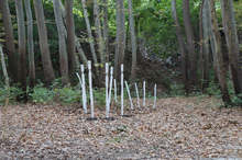 Пловдивското село Белащица  бе домакин на Международен фестивал  "Горски резонанс"