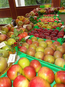 Институтът по земеделие в Кюстендил отбелязва 85 години от създаването си