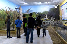 Екомузей с 80-тонен аквариум отвори врати в Русе