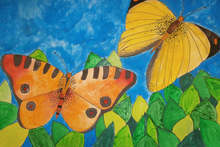 Детската школа "Колорит" в Плевен е удостоена с престижни награди на международен конкурс в Португалия