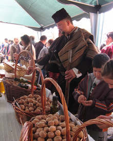 Стотици се събраха на Първия национален фестивал на ореха в село Голямо Дряново 
