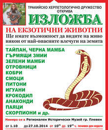 Най-опасните на Земята влечуги, паяци и скорпиони ще живеят в Плевенския музей през следващия месец