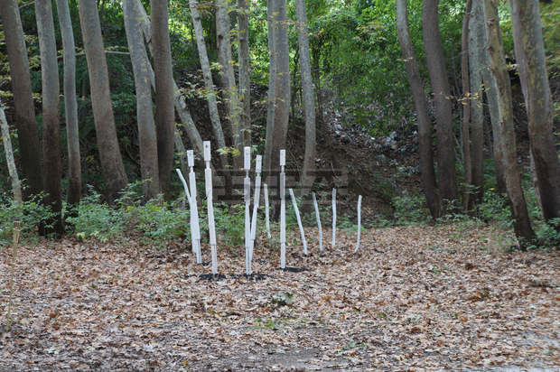 Пловдивското село Белащица  бе домакин на Международен фестивал  "Горски резонанс"