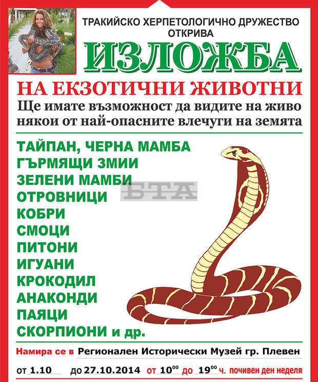 Най-опасните на Земята влечуги, паяци и скорпиони ще живеят в Плевенския музей през следващия месец