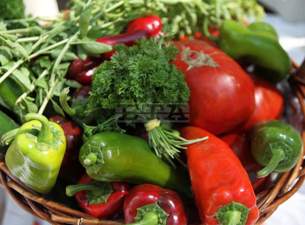 В Русе започва  международно изложение  "Здраве, щастие, красота"