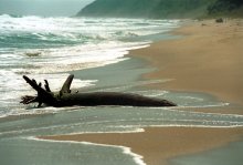 Parliament Bans Camping, Car Parking on Beaches