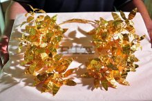 Norway Invites "Saga of Thracian Kings" Exhibition to Oslo in 2016