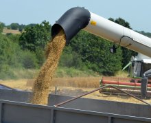 Bulgaria Reports Largest Wheat Harvest since 1980