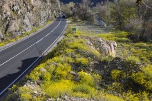 Road Infrastructure Agency Director Warns that Delay in Construction of Road via Kresna Gorge will Be Fatal for Human Life, Nature