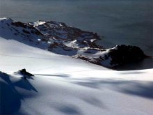 Institute of Biodiversity, Ecosystem Research  Participates In a Project Studying  Penguins, Vegetation on Livingston Island