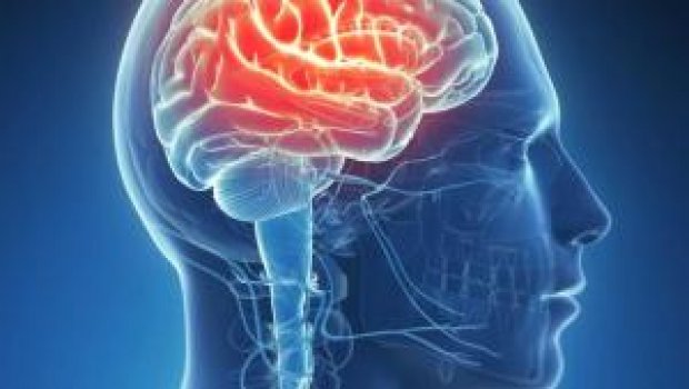 Epileptics Remain Stigmatized, Their Medicines Are in Short Supply, Parents and Physicians Complain Epileptics Remain Stigmatized, Their Medicines Are in Short Supply, Parents and Physicians Complain