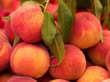 Peaches Increasingly Grown for Processing as Sales Are Guaranteed - Expert
