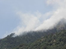 Defence Minister Nenchev: Mt Rila Fire Almost Fully Contained 