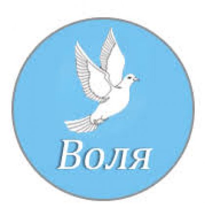 Volya Not Supportive of Socialists' No-Confidence Motion against Government Volya Not Supportive of Socialists' No-Confidence Motion against Government
