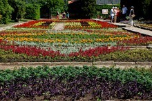В Университетската ботаническа градина в Балчик изложба "Поляна от кръпки" популяризира дивите цветя