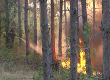 Двойно са се увеличи лъжливите повиквания за пожари през тази година