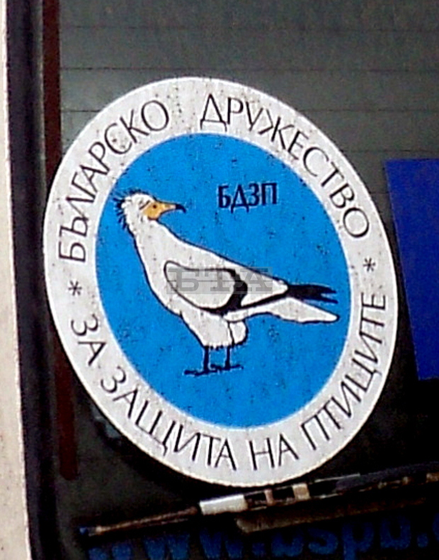 БДЗП осигури 800 килограма слънчогледза подхранване на дивите птици в Добричпрез зимата