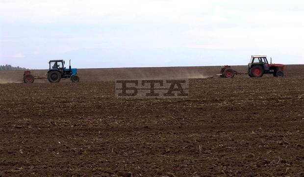 Продължителното засушаване възпрепятства израстването на есенните култури в Ямболска област Продължителното засушаване възпрепятства израстването на есенните култури в Ямболска област