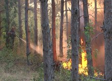 Обявен е пожароопасен сезон в горите в първите области на страната