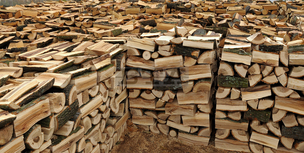 Няма увеличение на цената на дървата за огрев в област Търговище в началото на зимния сезон