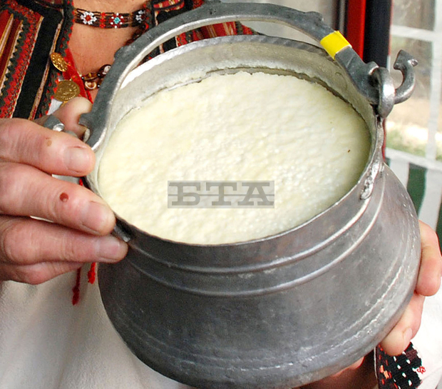 До 100 души седмично посещават музея на киселото мляко