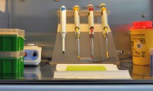 COVID-19 Update: 5,178 New Cases, Test Positivity Rate at 10.5%