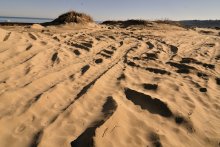 Locals, Concessionaires Clash over Handling of Beaches in Sozopol Municipality