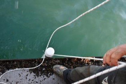 Green Balkans Takes Part in Acoustic Survey on Cetaceans in Black Sea Green Balkans Takes Part in Acoustic Survey on Cetaceans in Black Sea
