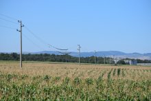 ЧЕЗ РАЗПРЕДЕЛЕНИЕ Е НАЦИОНАЛЕН ПОБЕДИТЕЛ НА НАЙ-ЗНАЧИМИТЕ ЕКОЛОГИЧНИ НАГРАДИ В СВЕТОВЕН МАЩАБ