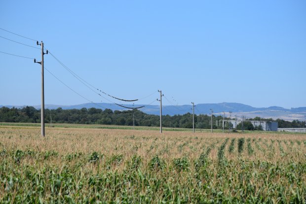 ЧЕЗ РАЗПРЕДЕЛЕНИЕ Е НАЦИОНАЛЕН ПОБЕДИТЕЛ НА НАЙ-ЗНАЧИМИТЕ ЕКОЛОГИЧНИ НАГРАДИ В СВЕТОВЕН МАЩАБ