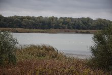 ЧЕЗ РАЗПРЕДЕЛЕНИЕ СЕ ВКЛЮЧВА В НОВ ПРОЕКТ ЗА ОПАЗВАНЕ НА ПТИЦИТЕ ПО РЕКА ДУНАВ