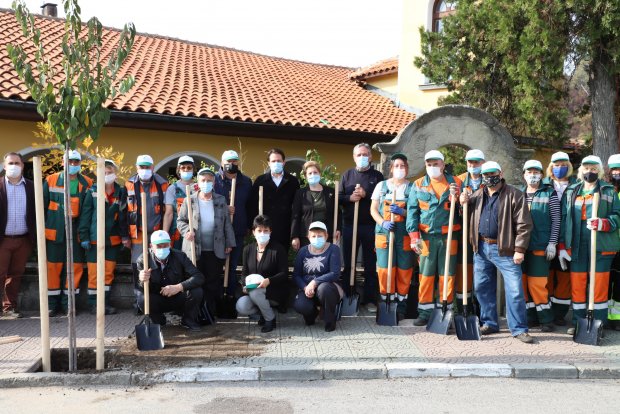 45 дървета засадиха в Мирково само за ден по програма „Нашето зелено утре“