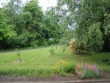 В Ботаническата градина на БАН се отглеждат 4 500 вида растения