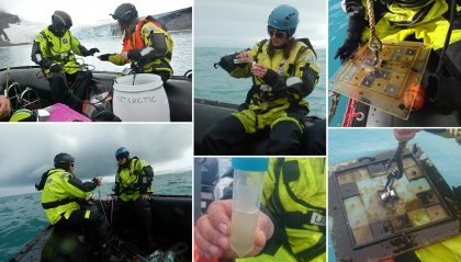 Какво е диатомист и има ли връзка между Южния океан и Черно море?