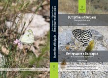 Нов определител на пеперудите в България излезе от печат