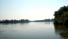  Fewer Nesting Birds Found in Mixed Colonies along the Danube 