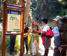  Mobile App Helps Tourists Plan Their Route in Pirin National Park