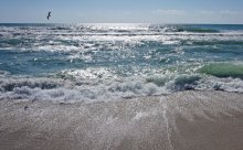 Преди празниците нараства интересът към фирмените партита във Варна, според експерт