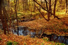 Batova River Valley Area to Protect Natural Habitats