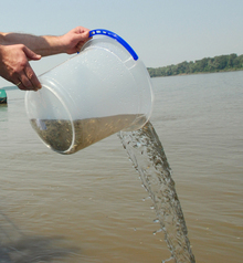 В планинските реки край Габрово и Севлиево са пуснати 15 хиляди пъстърви